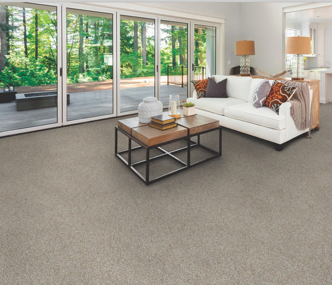 Fayetteville, NC Carpet Solutions
